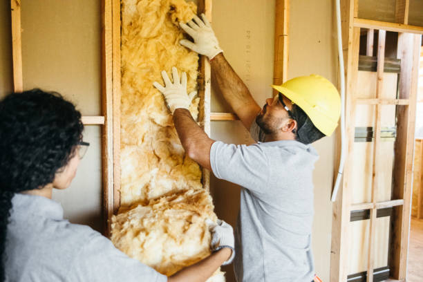 Types of Insulation We Offer in Bogata, TX